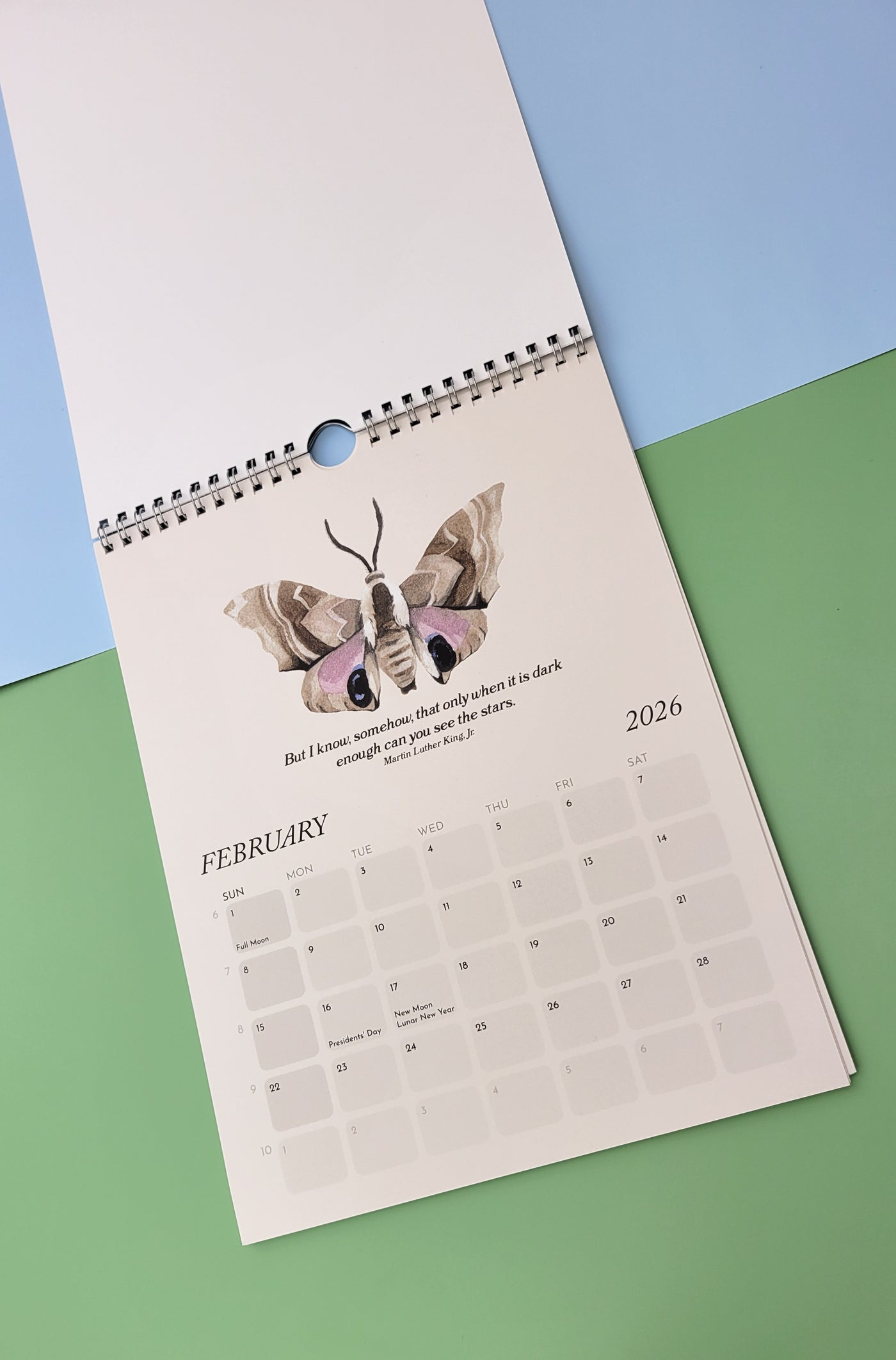 Moths & Dreamy Book Quotes 2026 12-Month Wall Calendar