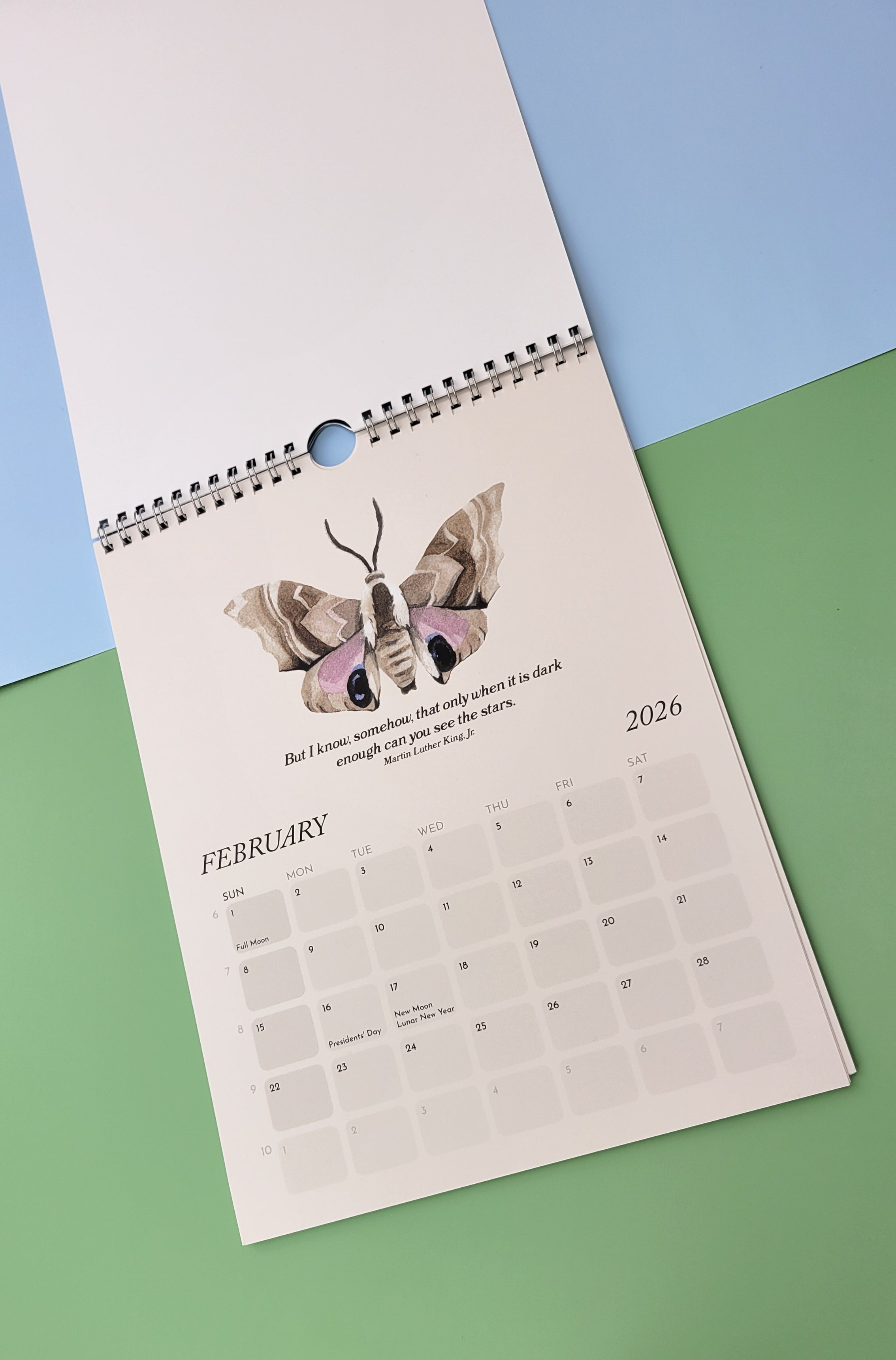 Moths & Dreamy Book Quotes 2026 12-Month Wall Calendar