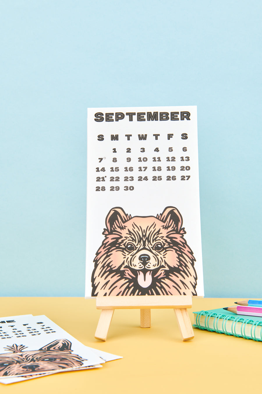 Grupo Erik Wall Calendar 2026 - Dog Calendar 2026 | Square 30 X 30 Cm - 12 X 12 Inches Wall Planner, Family Planner Month To View | Gifts For Dog Lovers, Gifts For Friends