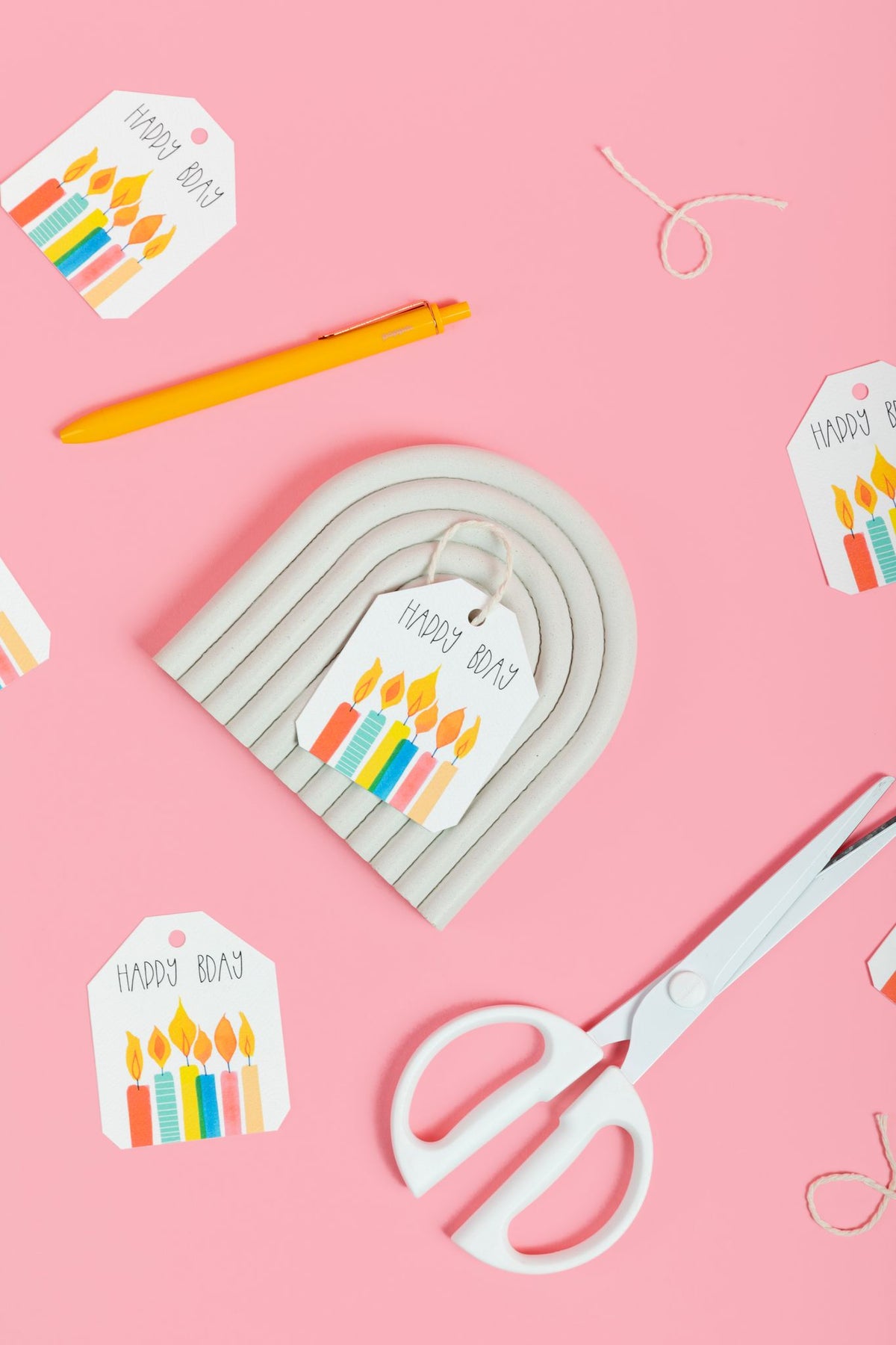 Echinacea Birthday Gifting Bundle | Floral Gift Bag, Birthday Card & Gift Tag Set