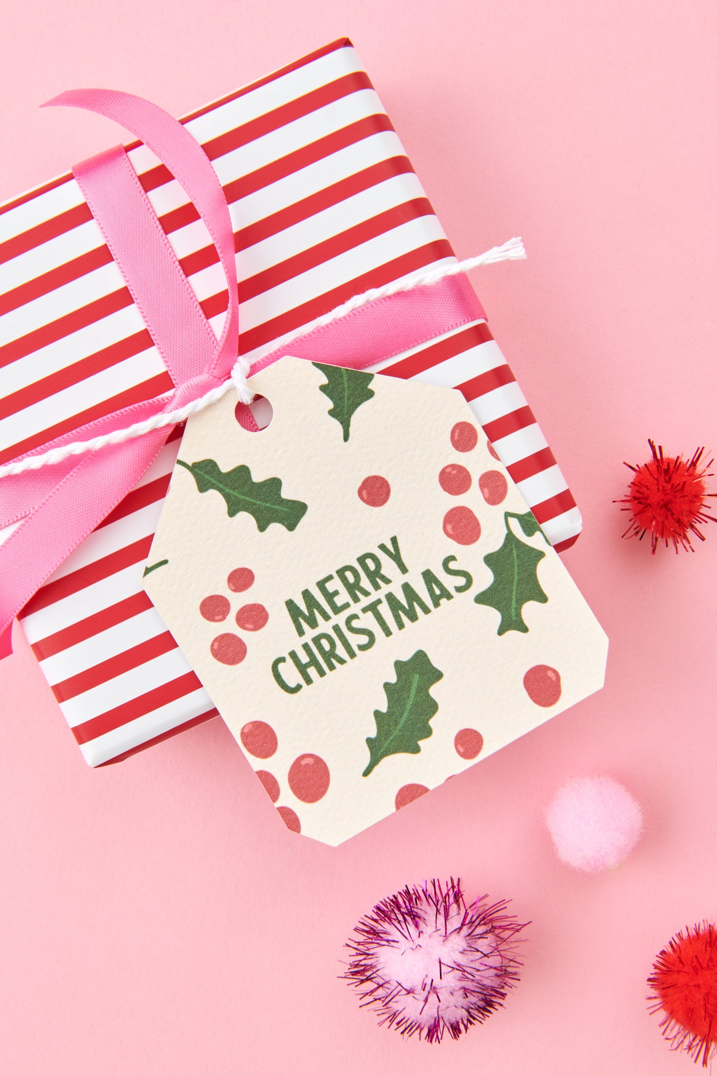Merry Christmas Holly Berry Christmas Gift Tag (Set of 10)