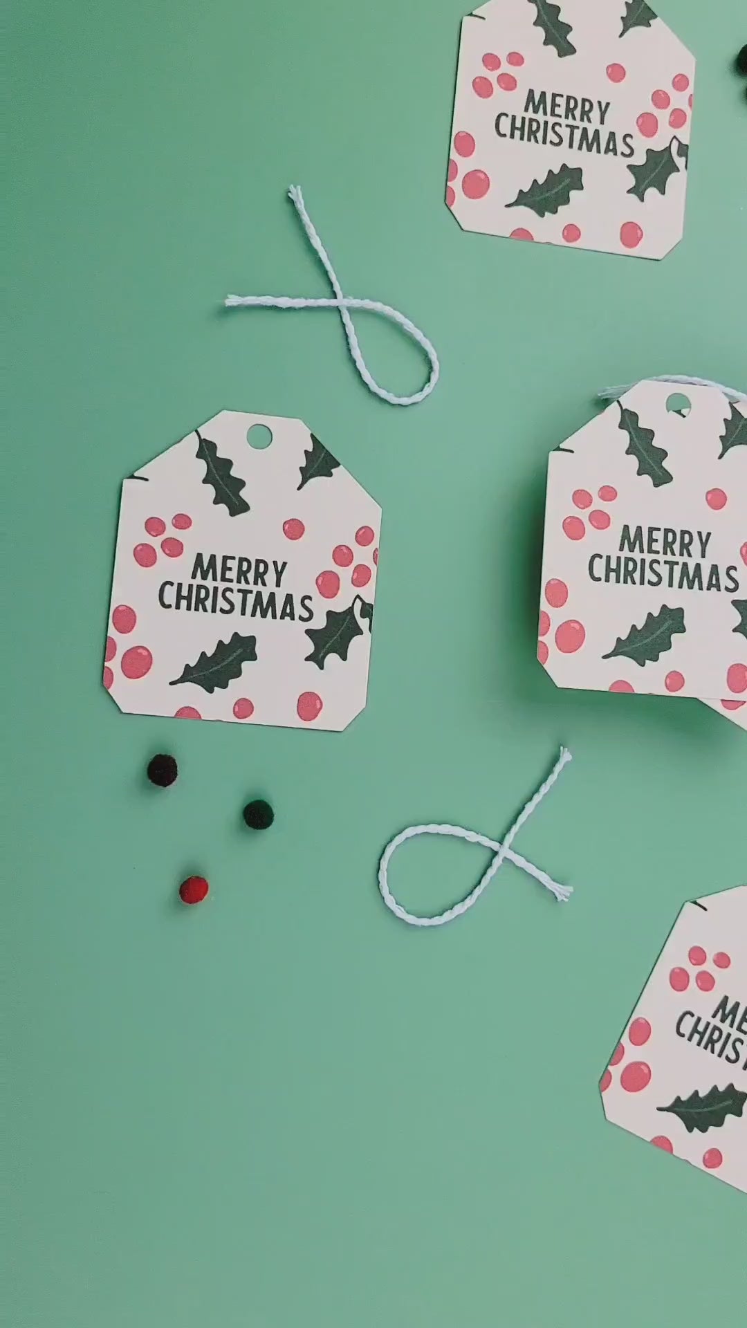 Merry Christmas Holly Berry Christmas Gift Tag (Set of 10)