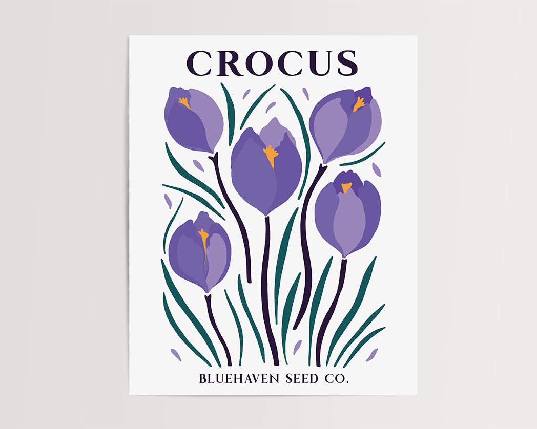 Photo of the Flower Garden Seed Pack Art Print of crocus by Lucky Dog Design Co.