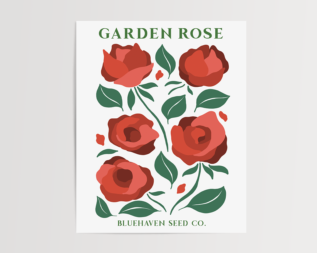 Photo of the Garden Rose Flower Garden Seed Pack Art Print by Lucky Dog Design Co.