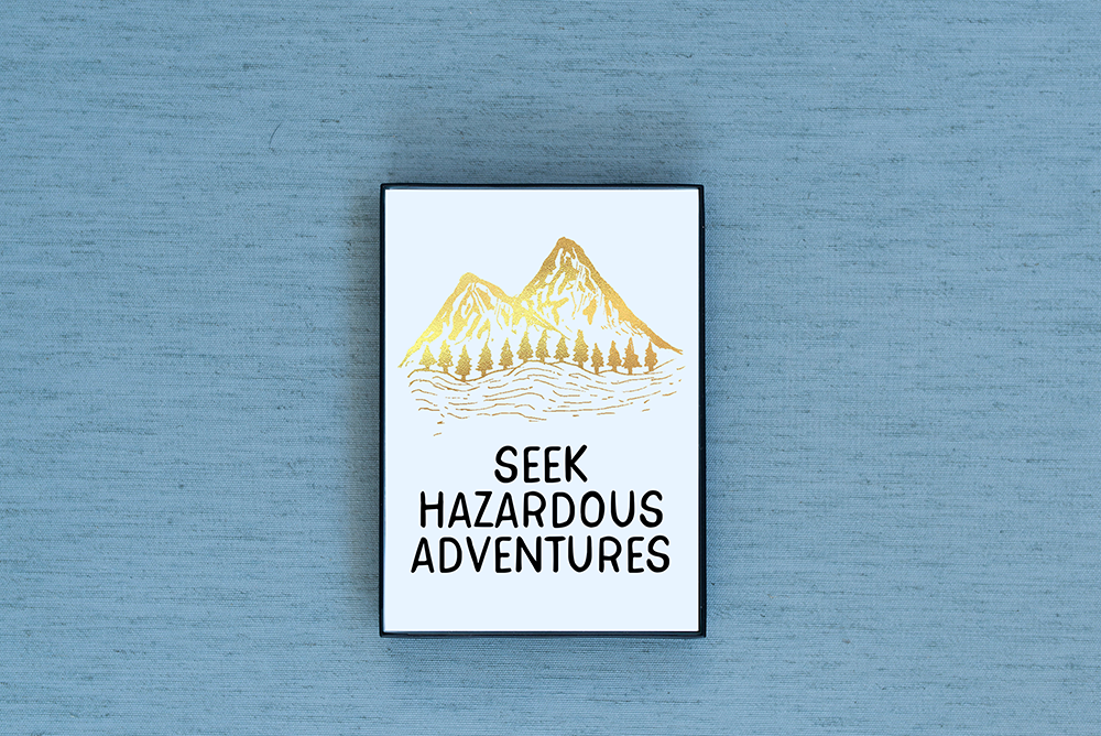 Seek Hazardous Adventures Foiled & Framed Print - Lucky Dog Design Co.