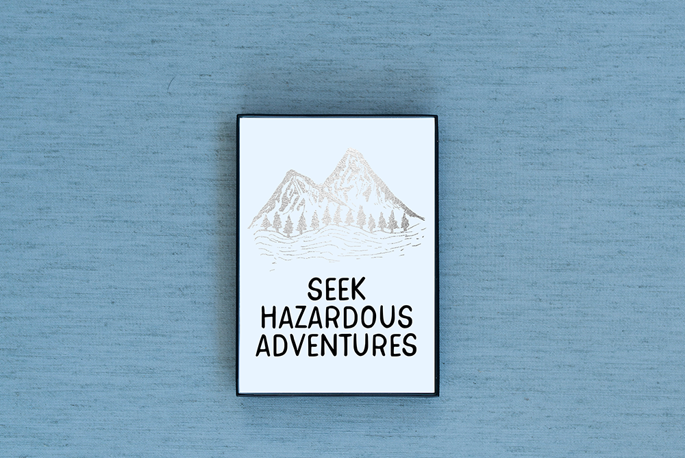 Seek Hazardous Adventures Foiled & Framed Print - Lucky Dog Design Co.